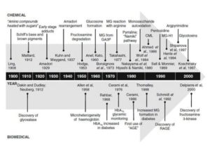 1900年から2000年までの糖化研究の歴史