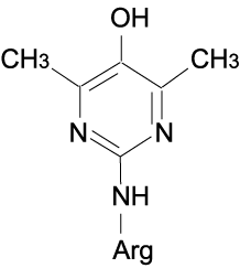 アルグピリミジン（Argpyrimidine）の構造式