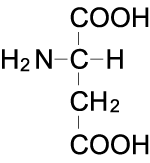 アスパラギン酸（Aspartic acid）