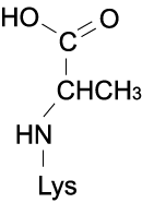 CEL（カルボキシエチルリジン）の構造式