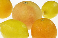 柑橘類の種類