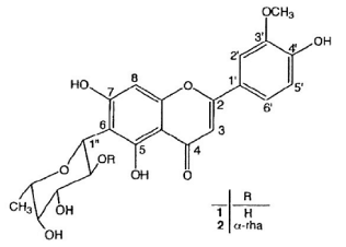 トウモロコシ（花柱）に含まれる6-C-β-fucopyranoside