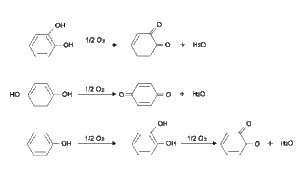 ポリフェノールオキシダーゼによる褐色化反応