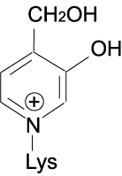 GA-pyridineの構造式