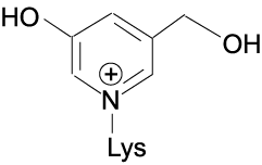GLAP（Glyceraldehyde-related Pyridinium）の構造式