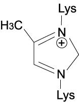 MOLD（Methylglyoxal-derived Lysine Dimer）の構造式