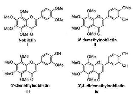 ノビレチンとその代謝物の構造（マウス）