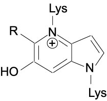Vesperlysineの構造式